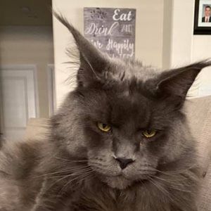 Meet your Posher, Caroline